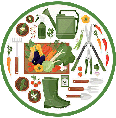 Месяцовы пасяўны каляндар садоўніка-агародніка на 2024 год