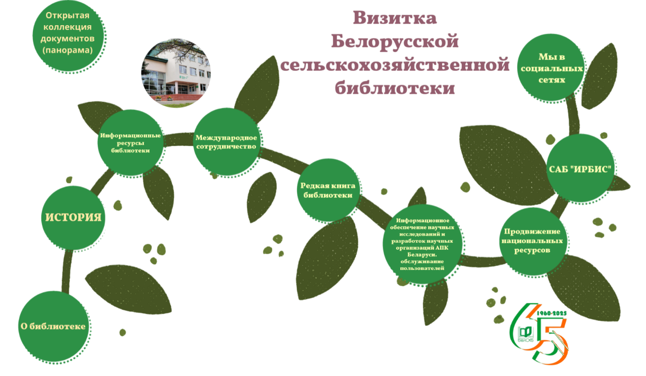 BIB removebg preview