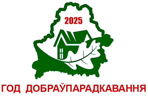 Год добраўпарадкавання